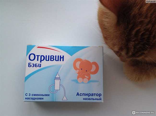 Какие средства можно использовать для чистки носа кошке?