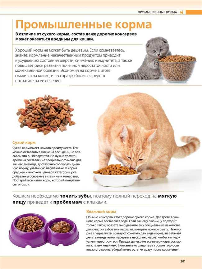 Чем нельзя кормить кастрированных котов?