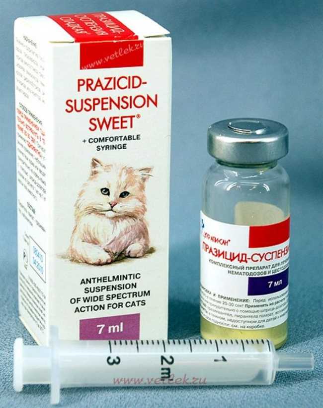 Какие проблемы могут возникнуть при использовании человеческих таблеток для кота?