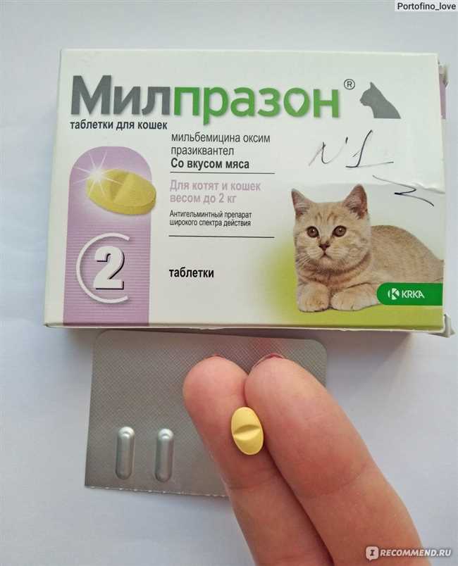 Что дать коту от температуры из человеческих таблеток?