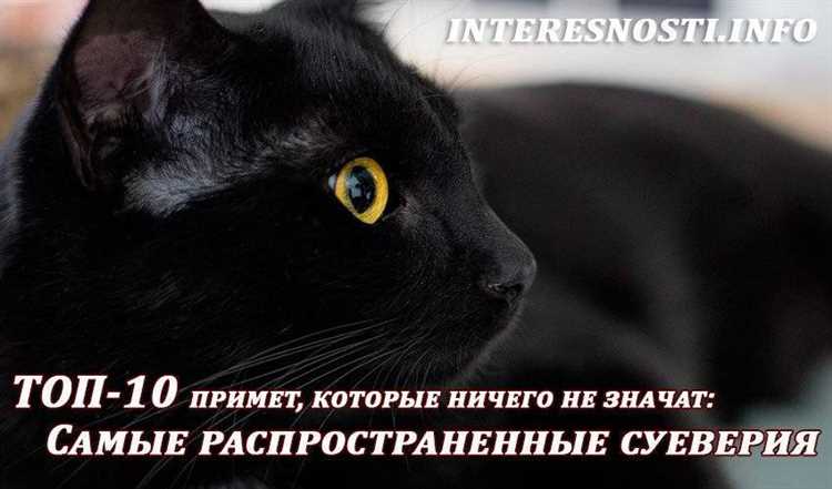Что означает черная кошка дома?