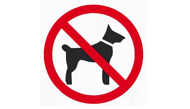Где запрещено выгуливать собак?