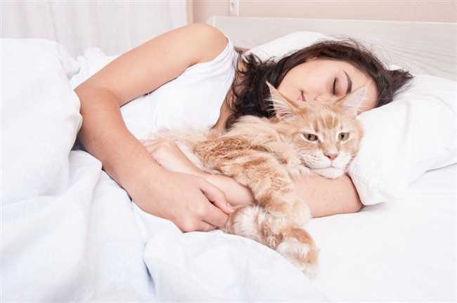 Как кошки выбирают с кем спать?