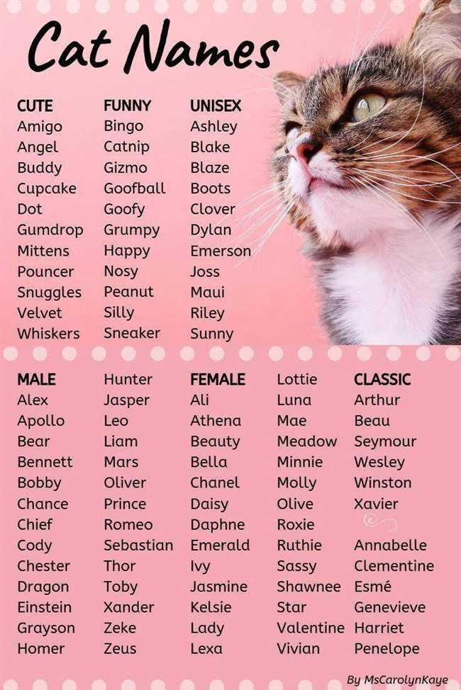 Как можно назвать кошки?