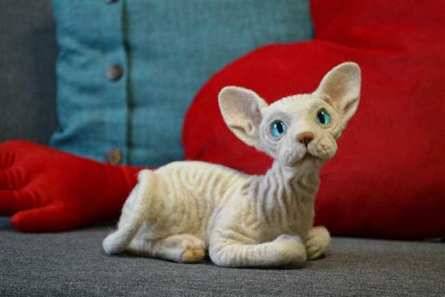 Как называется кошка сфинкс с шерстью?