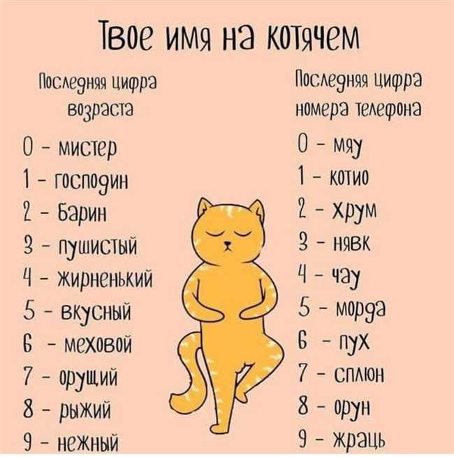 Как назвать кота по характеру?