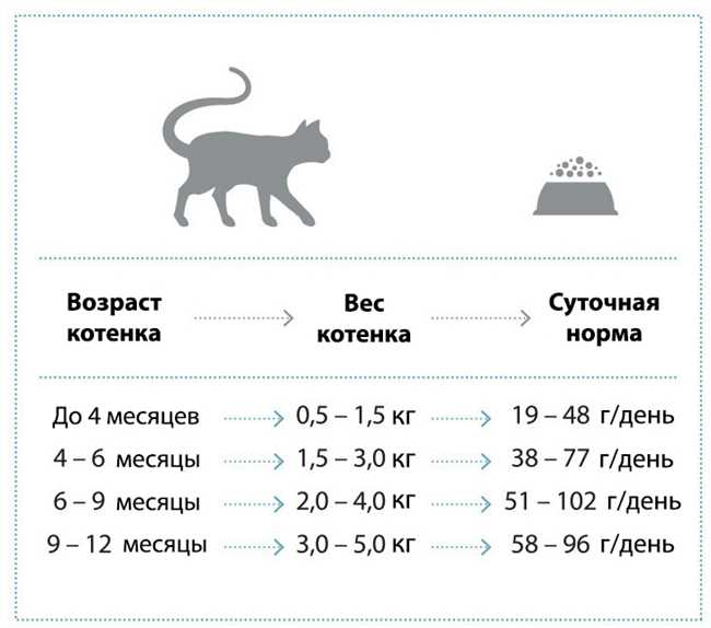 Как определить нормальный вес для кошки