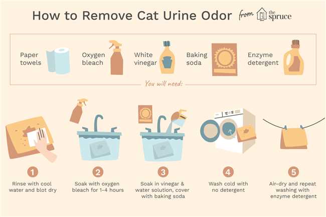Как убрать старый запах кошачьей мочи с помощью соды?