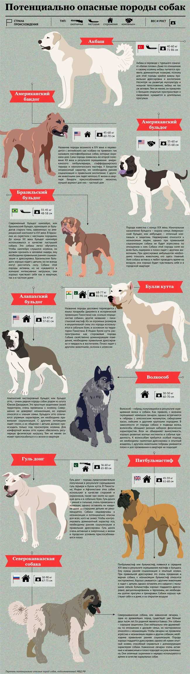 Какие породы собак относятся к опасным?
