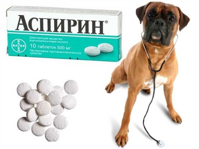 Какие препараты давать собакам от агрессии?