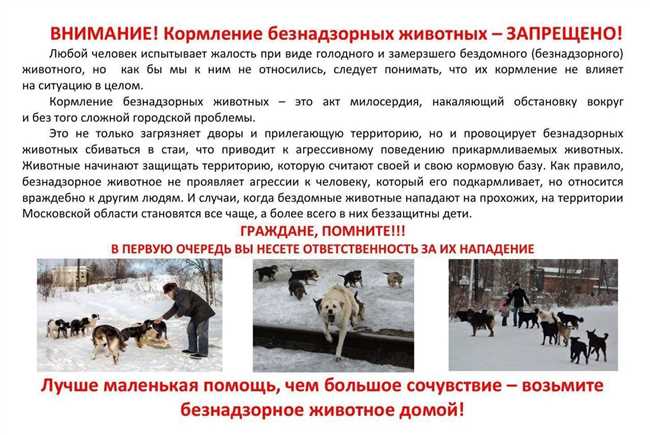 Ситуация с бродячими собаками в России