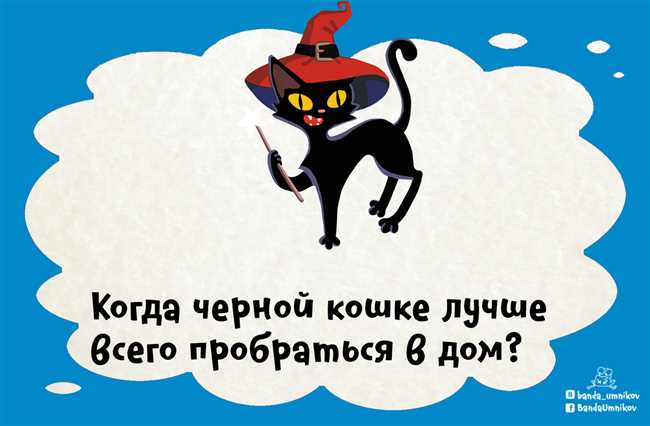 Суеверия и предрассудки о чёрных кошках