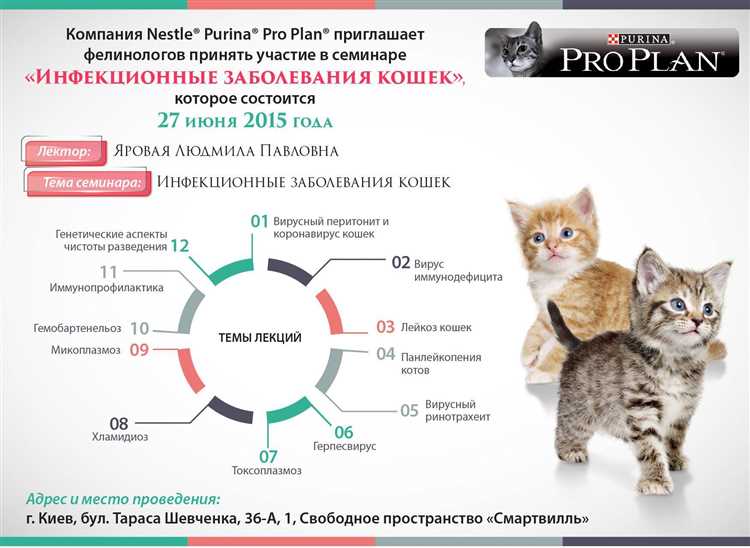 Механизм передачи инфекции от кошек к людям