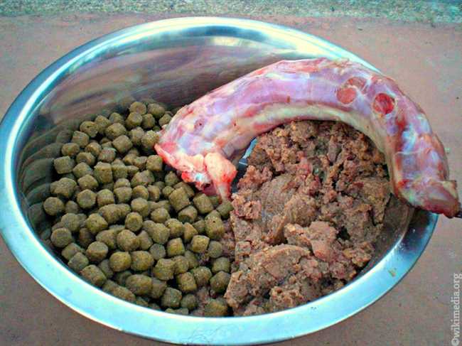 Можно ли кормить собак кашей с мясом?