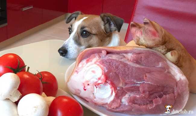 Можно ли щенку сырое мясо?