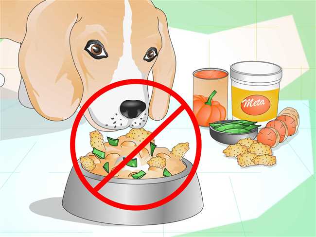 Раздел 1: Роль соли в питании собак