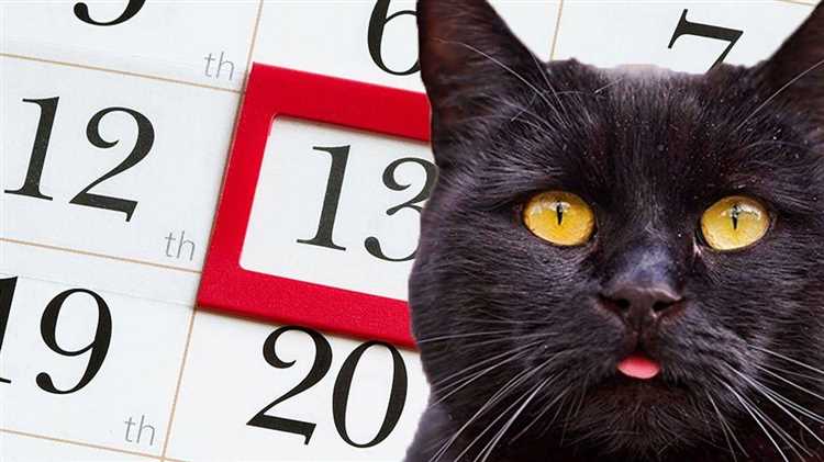 Черные кошки в современном суеверии