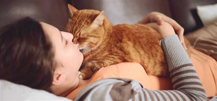 Биологические особенности: почему кошки любят спать?