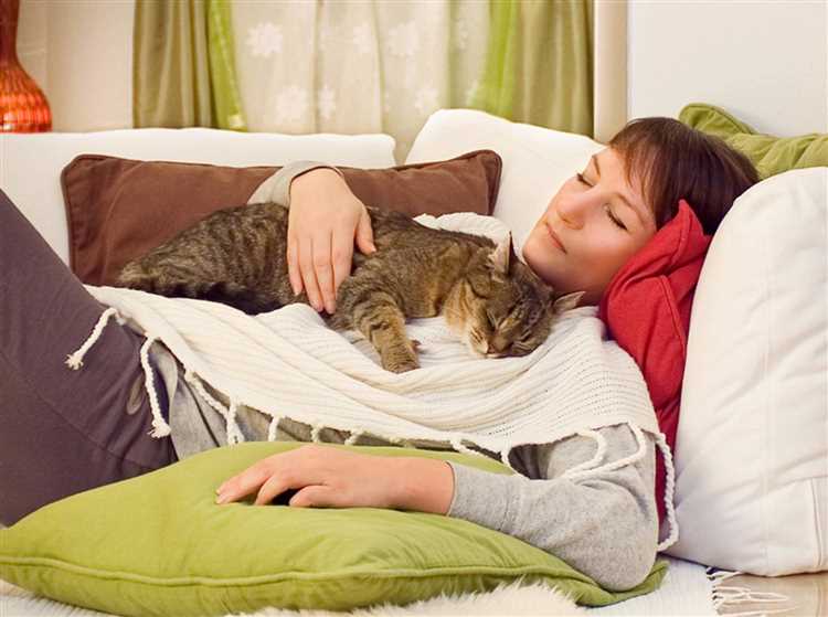 Правда ли что коты лечат людей?