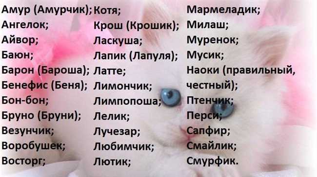 Алфавитный список популярных имен для русских кошечек