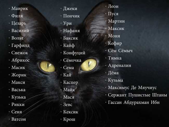 Русские кошечек имена для девочек