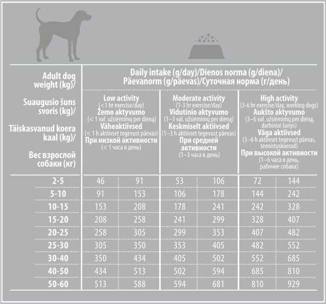 Сколько в среднем собаки должны проходить?
