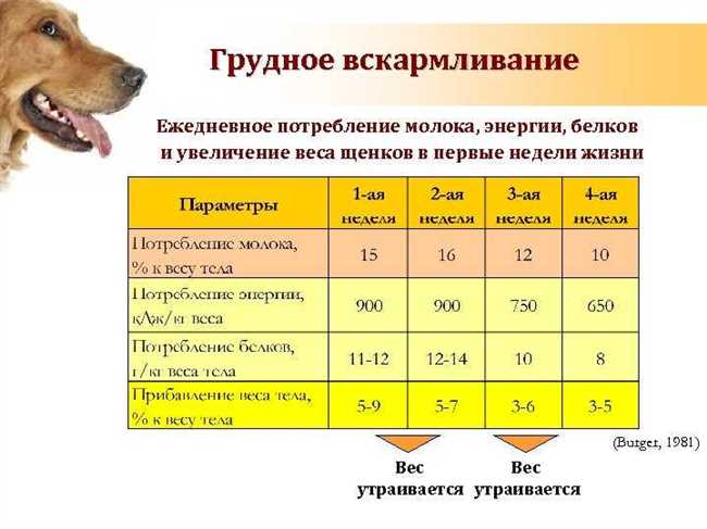 Сколько в среднем живут собаки дворняги средних размеров?