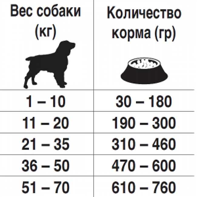 Как определить количество влажного корма для собаки?